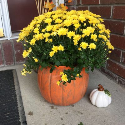 You're done!  It's ready for your front porch.  The great part is you can just face the pumpkin part forward during September and November.... &