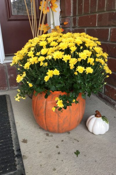 You're done!  It's ready for your front porch.  The great part is you can just face the pumpkin part forward during September and November.... &