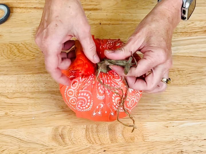 Reattach the pumpkin's stem using hot glue. If desired, wrap twine around the stem and secure with glue. This adds an extra touch of realism.