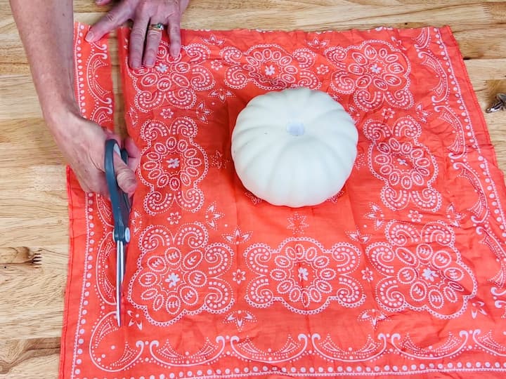 If needed, use scissors to carve out extra space in the center of the pumpkin to accommodate the fabric.