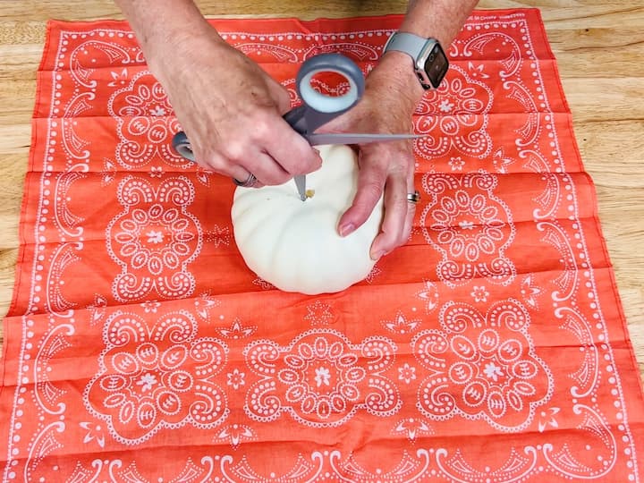 Place a foam pumpkin in the center of an open handkerchief. Remove the pumpkin's stem.
