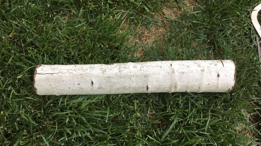 It all started with a branch. You'll want to let it dry out if you are going to seal it in the end. If not, you'll be okay to move ahead sooner.