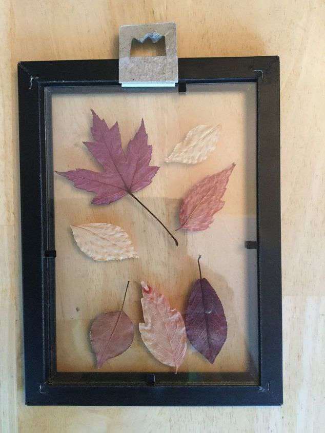 picture frame with pressed leaves