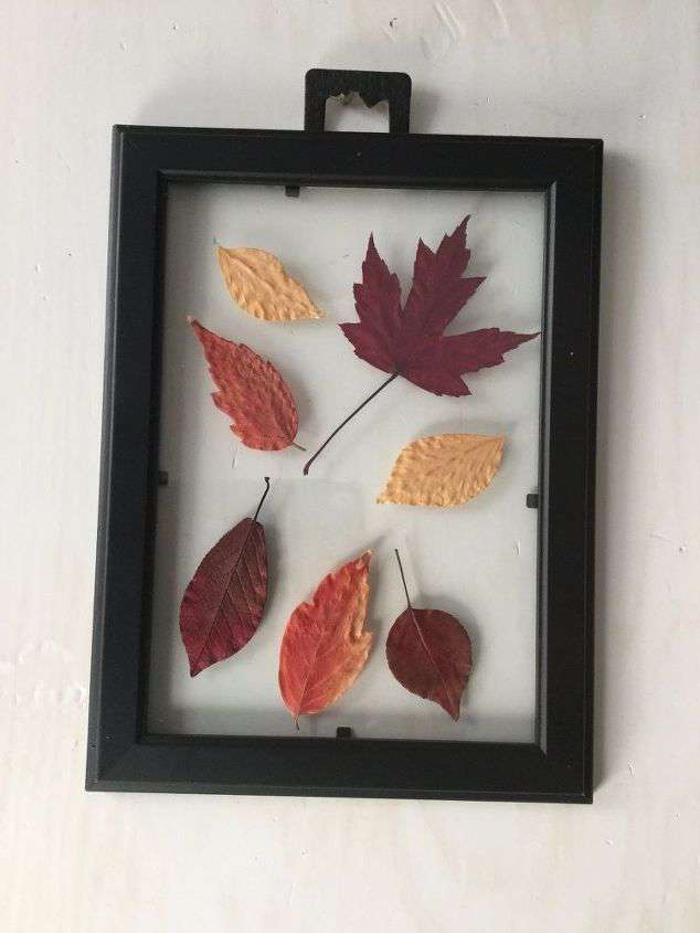 fall leaves in frame