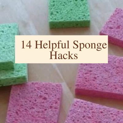 Everyone has sponges at home, but did you know there are so many uses? Do you struggle to keep them clean? I'm going to show you 14 helpful sponge hacks, and how to clean it.