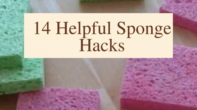 Everyone has sponges at home, but did you know there are so many uses? Do you struggle to keep them clean? I'm going to show you 14 helpful sponge hacks, and how to clean it.