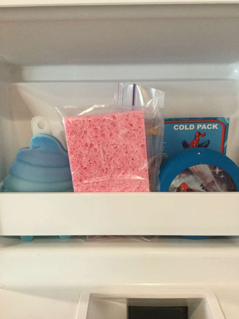 Fill your sponge with water, place inside a baggie and freeze.  Great to use as ice packs or as cold packs in lunches.
