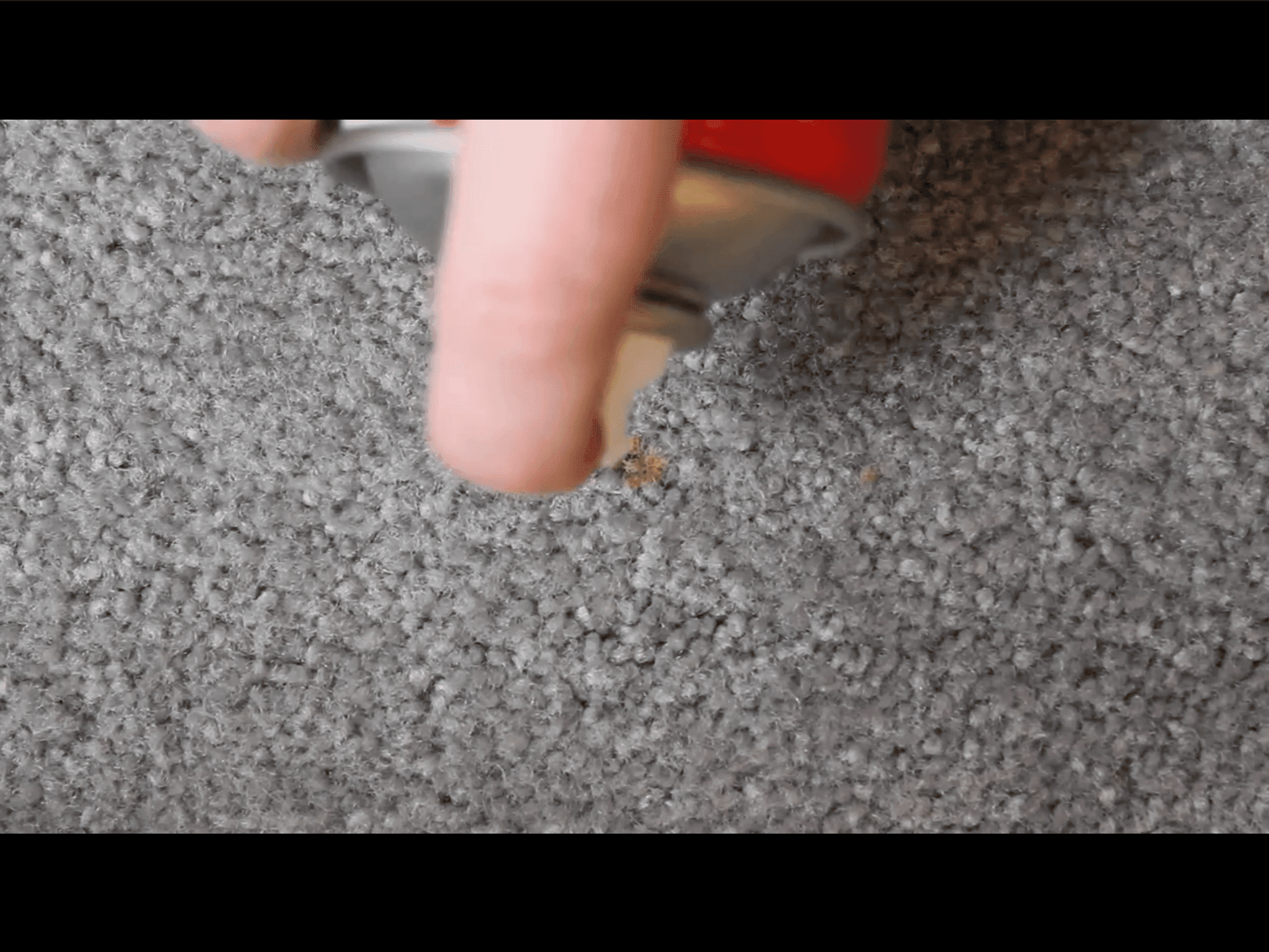 removing carpet stains in car