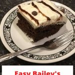 We make Bailey's Chocolate Cake every year to celebrate St. Patrick's Day.  The recipe is simple and it tastes delicious.