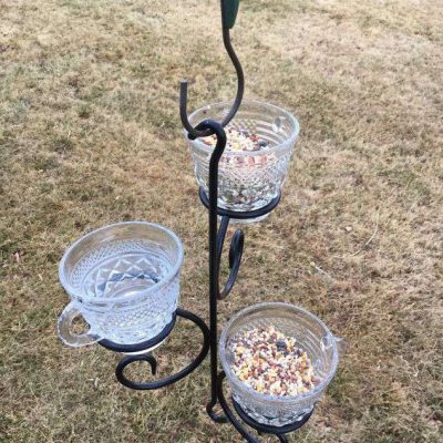 Place birdseed in some of the cups and water in another and you have a new bird feeder.