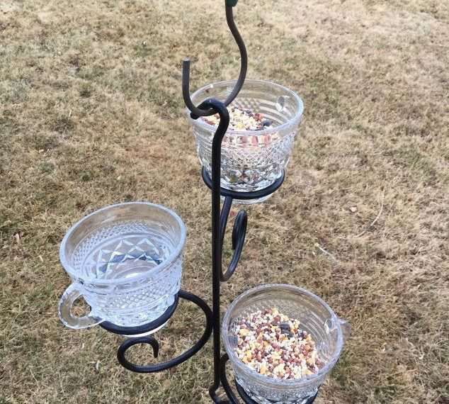 Place birdseed in some of the cups and water in another and you have a new bird feeder.