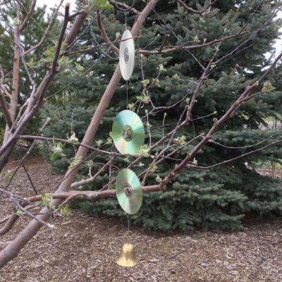 For my apple tree: I tied 3 used cds together with fish line. I added a loop at the top and hooked it on a plant hanging s hook. On the bottom I added a bell.