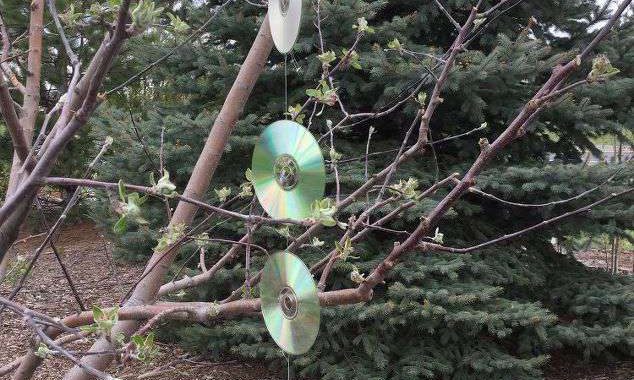 For my apple tree: I tied 3 used cds together with fish line. I added a loop at the top and hooked it on a plant hanging s hook. On the bottom I added a bell.