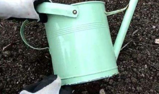 First, find something you want to turn into a planter. I'll be using this watering can that I found at the flea market.