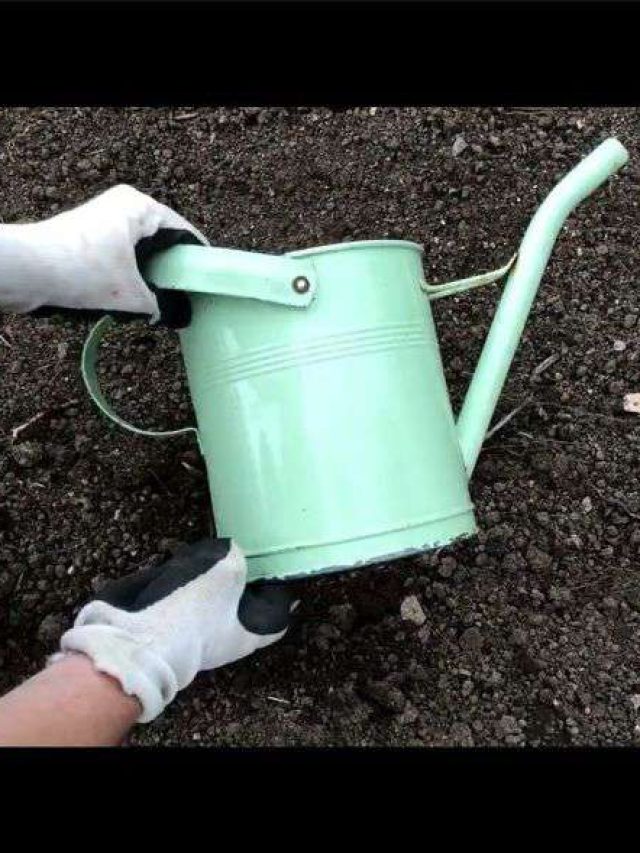 11 Thrift Store Finds For Unique Planters