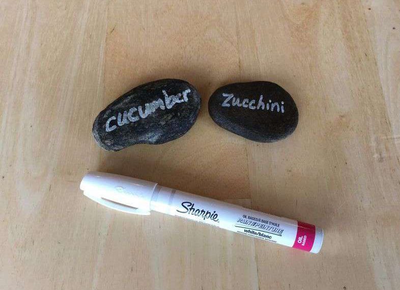 Option 4 - Wash a rock, let dry, and then use a paint pen or sharpie to write what you are growing. Once this is dry, spray with an acrylic sealer to protect it.