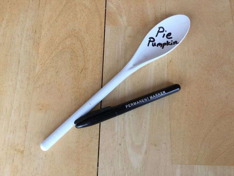 Option 3 - Write with sharpie on a plastic spoon (3-$1 at Dollar Tree). You can stop here or ... Using more colorful sharpies...