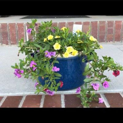 I used an old pot and added some flowers in it for my front porch.