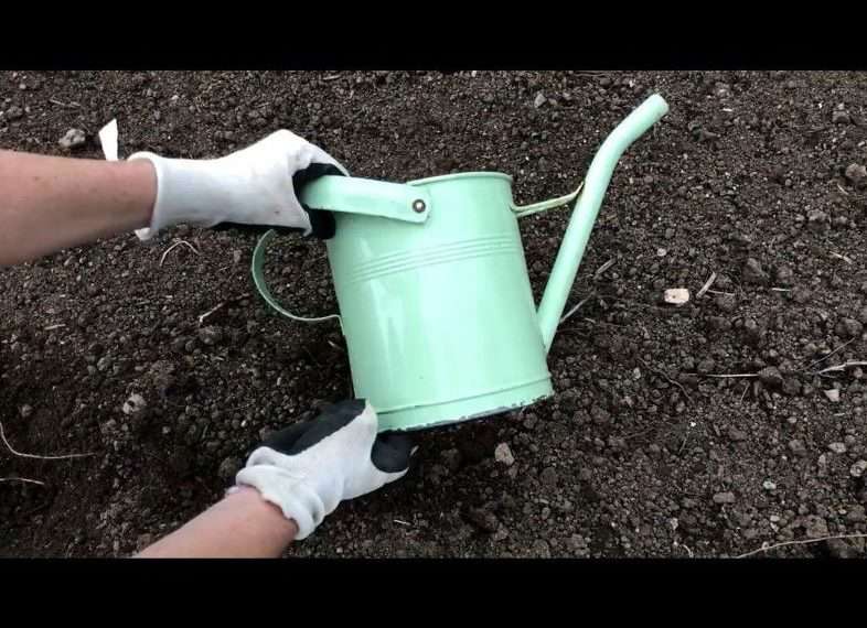 First, find something you want to turn into a planter. I'll be using this watering can that I found at the flea market.
