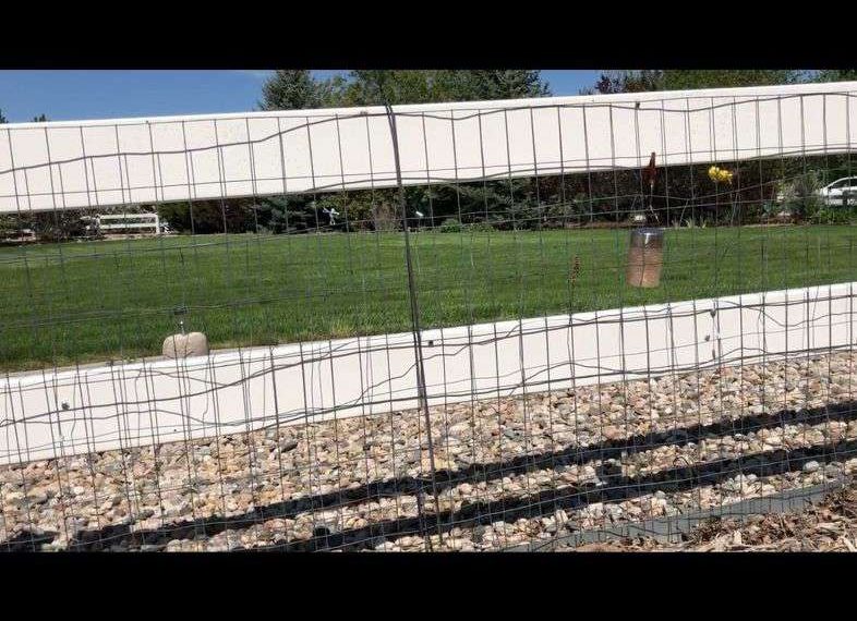 I've had my garden in this home for about 16 years now. We have learned if you have rabbit around, you'll definitely want a fence that will keep them out! We bought this fence at our local hardware store and used screws and fence clips to attach it to our fence. Don't forget to block off gate entryways as well. I put a row of rocks on the inside of my gate so the pests cannot sneak underneath it.