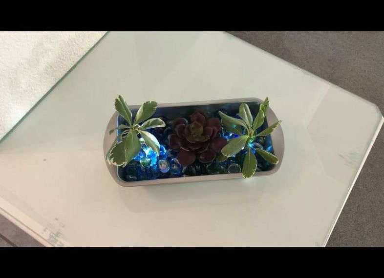 I added 2 plants on either side of the succulent that were from a floral arrangement. My battery operated lights were waterproof so I added water to the pan for the live plants.