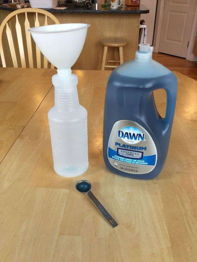 Add 1 tsp of dish soap. Put the lid on and use this to spray on bugs on your plants. Don't forget the underside of the leaves too. You'll need to make sure it lands on the bugs and be careful as it will kill the good bugs too. The soap dissolves the bug's outer shell.