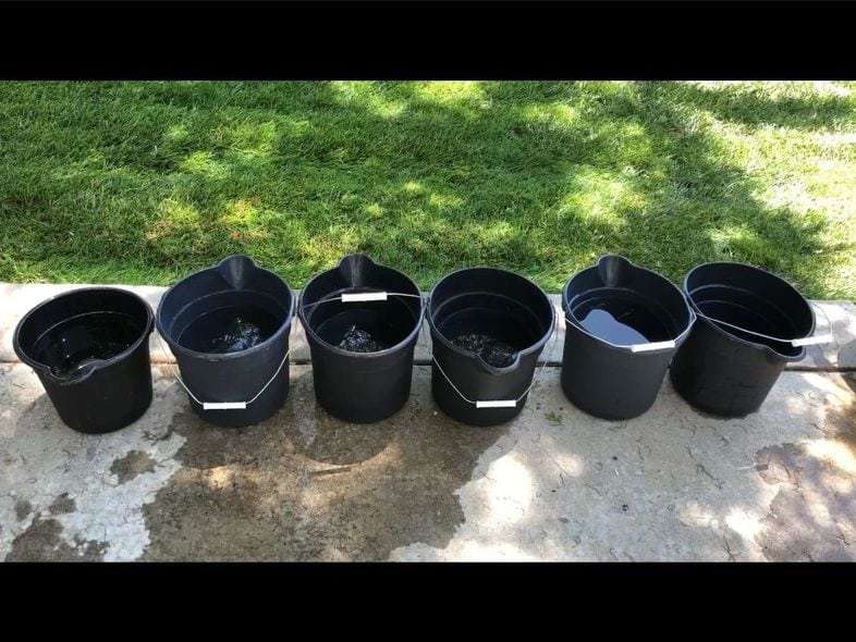 Fill 6 buckets with water. You can use more or less if you like.
