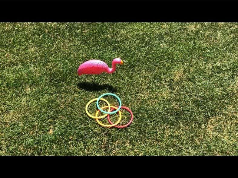 Stake the flamingos into the ground facing each other. The distance depends on the age of those playing.