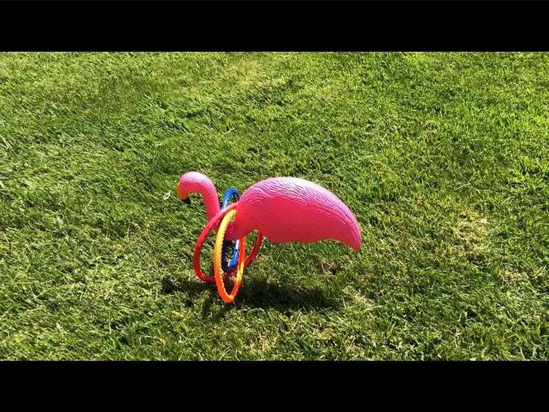 The goal is to toss the ring around the flamingo's neck.