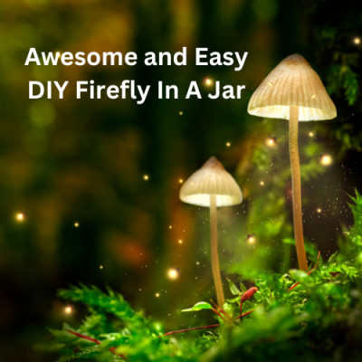 Are you looking for a firefly jar? With just a few supplies you can either catch fireflies or build this cute DIY to have year-round.