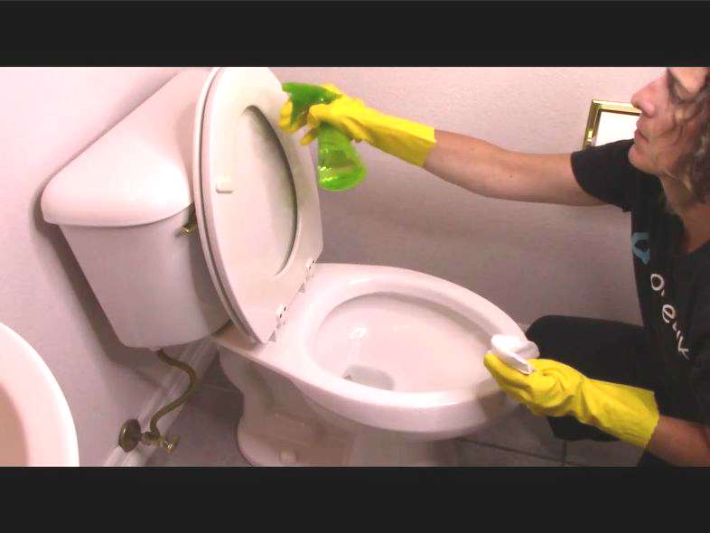 Spray and clean the bottom of your toilet seat.