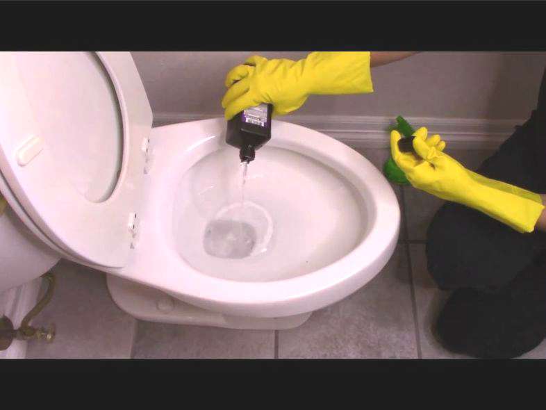 Pour about 1/2-1 cup into your toilet bowl and let it soak.