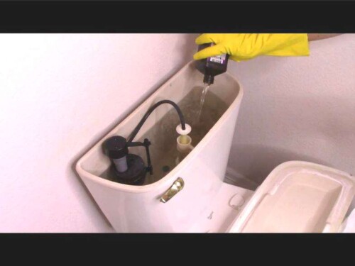 How To Clean A Toilet From Top To Bottom - Chas' Crazy Creations