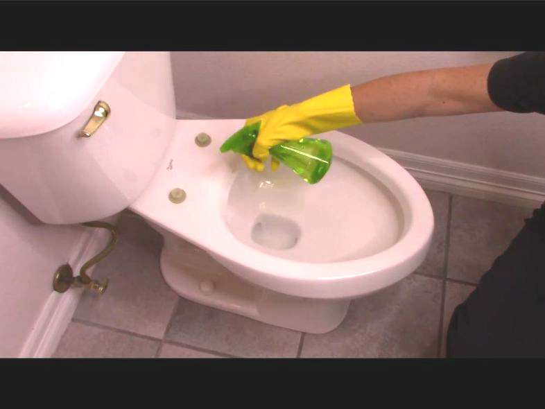 If your toilet seat comes off, spray the top of the toilet and wipe clean.