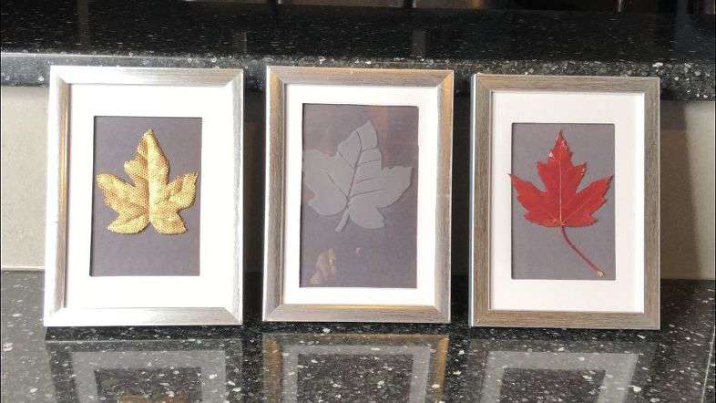Fall Leaves Framed 3 Ways