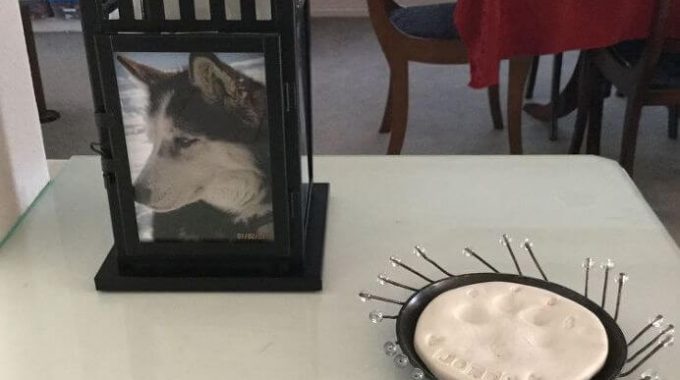 diy photo memorial lantern with husky