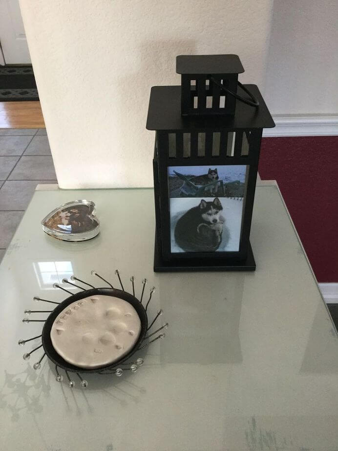 diy photo memorial lantern with husky photo on table