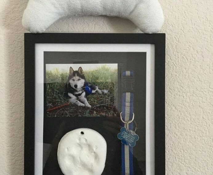 This is another memory shadow box we made in honor of her. It is actually an art frame that has a front door on it that you can open and put different art in. We bought it on Walmart.com. We put a paw print we had made in it, her collar, and one of our favorite pictures.