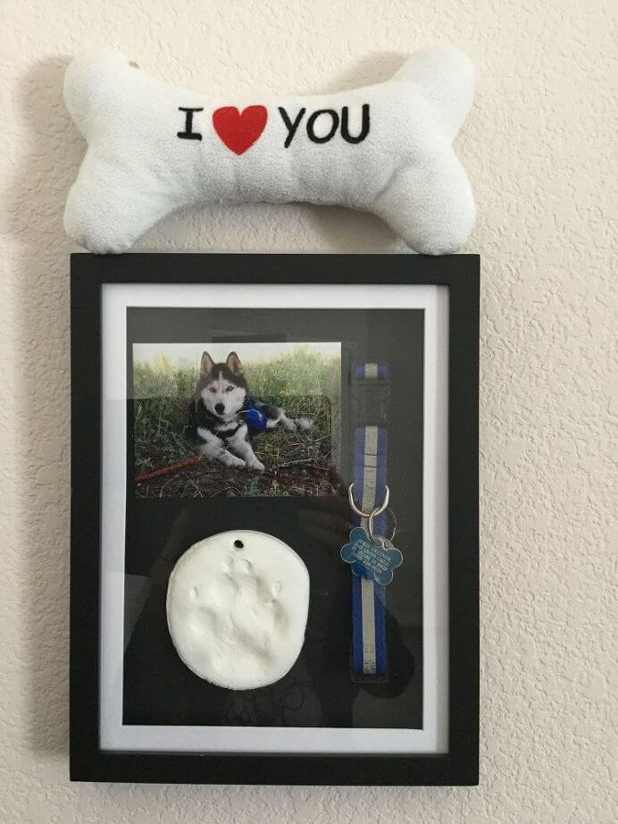 paw print, dog collar, and favorite pet photo.