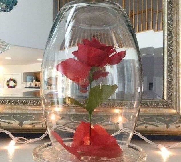 Place your Beauty and the Beast rose cloche somewhere in your home to enjoy.