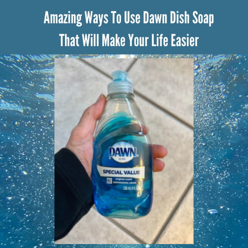 Amazing Ways To Use Dawn Dish Soap That Will Make Your Life Easier