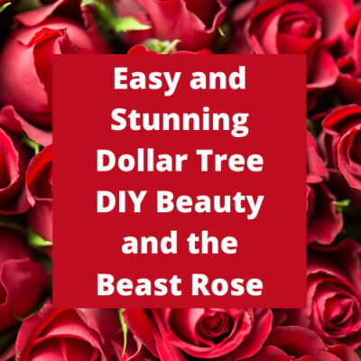Do you want a DIY Beauty and the Beast Rose? With just a couple of items from Dollar Tree, you can easily make this for your home.