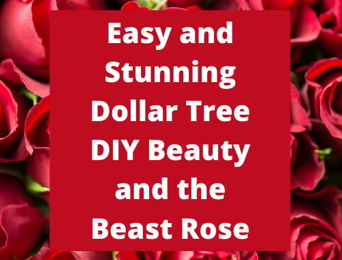 Do you want a DIY Beauty and the Beast Rose? With just a couple of items from Dollar Tree, you can easily make this for your home.