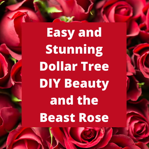 Easy and Stunning Dollar Tree DIY Beauty and the Beast Rose