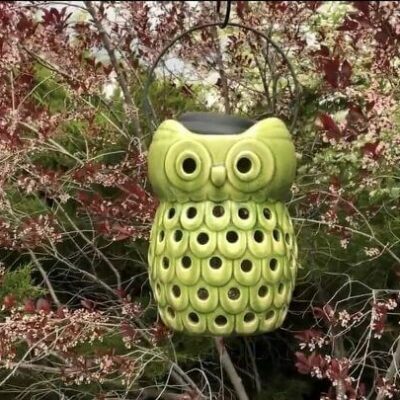 Upcycled Items For Your Yard (2) solar owl