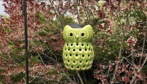 Upcycled Items For Your Yard (2) solar owl