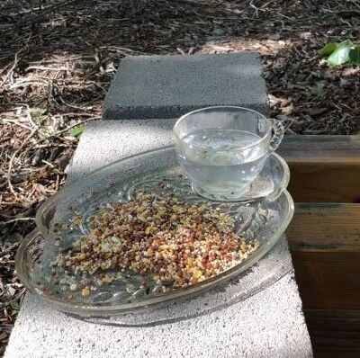 Silicone a vintage cup and plate together and let that dry. Put bird seed on the plate, water in the cup, and set it somewhere outside.
