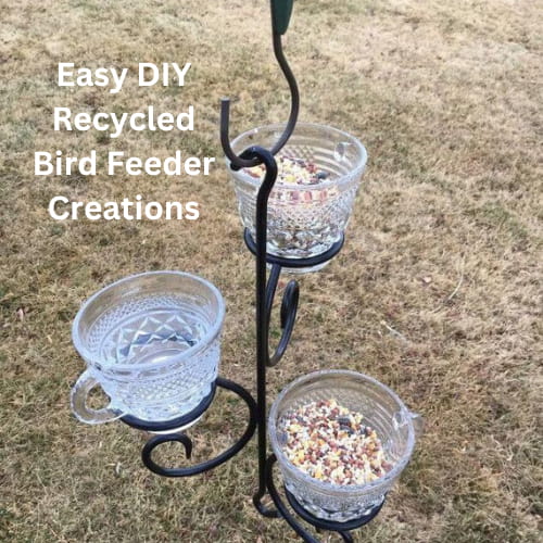 Explore recycled bird feeder creations crafted from upcycled and thrifted materials. Bring sustainability to your backyard while inviting birds to dine in style.