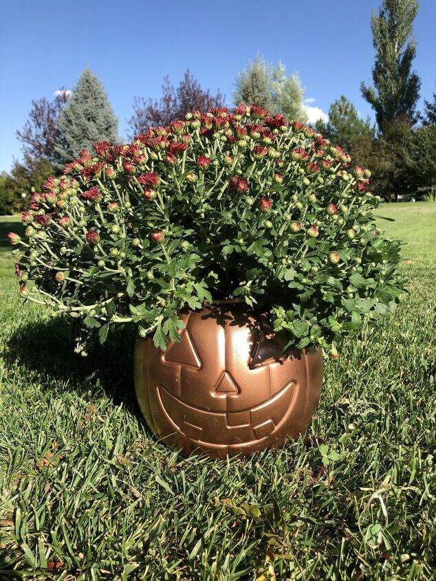 6 Plastic Pumpkin Bucket Makeovers by Chas' Crazy Creations