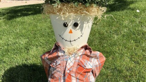 Or I could plant mums in him. I decided to start here and when the mums die, I can put the hat on him.